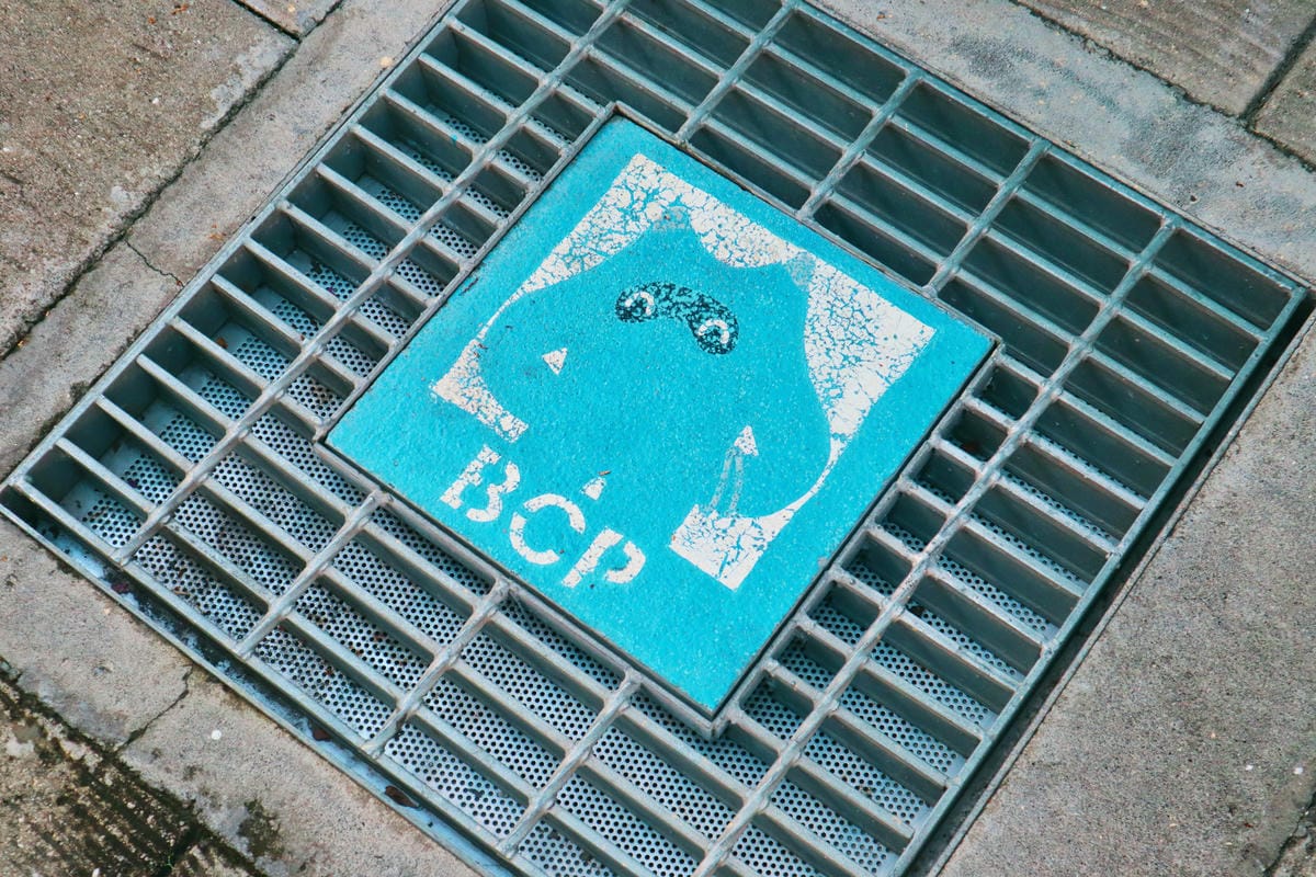 【台南|南區】2025 BCP藍晒圖文創園區 【台南|南區】2025 BCP藍晒圖文創園區 