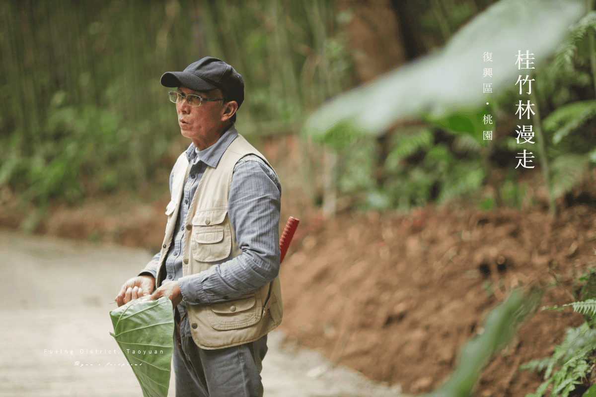 桂竹林漫走導覽 植物雨衣.png
