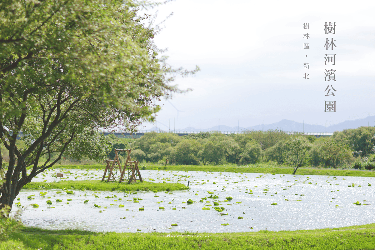 樹林河濱公園 山佳荷花池.png 樹林河濱公園 山佳荷花池.png