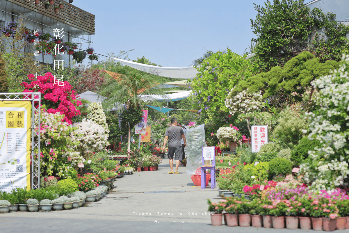 彰化旅遊 田尾旅遊 合利園藝DIY.png