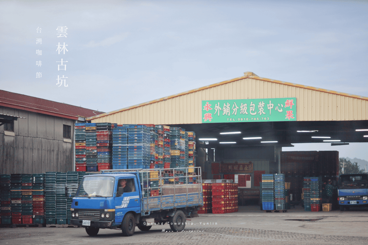 雲林古坑 旅遊景點推薦 加比山咖啡加工廠 農會.png