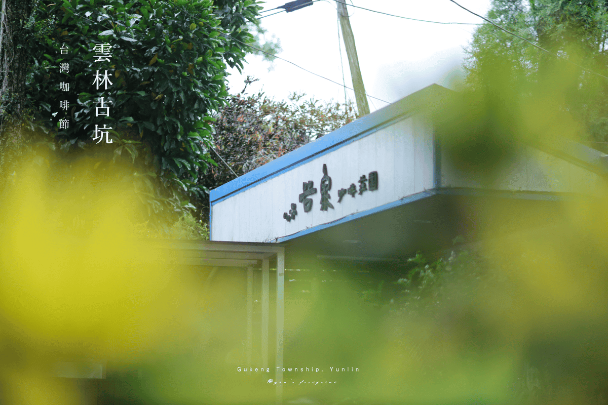 雲林古坑一日遊.png