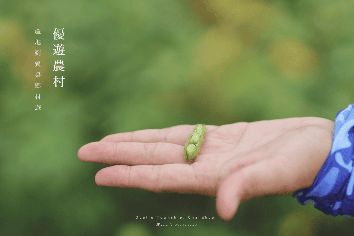 彰化旅遊 景點推薦 田野勤學 黃豆食農教育.png 彰化旅遊 景點推薦 田野勤學 黃豆食農教育.png