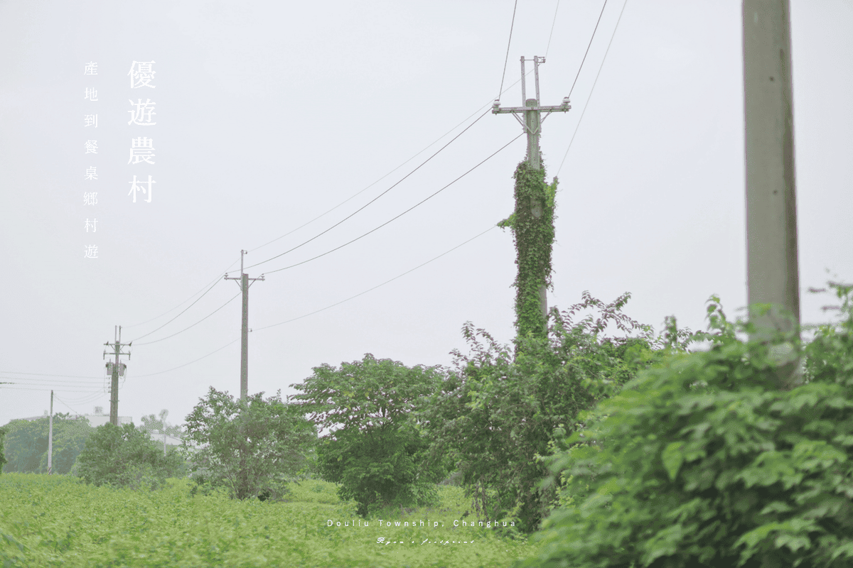 彰化旅遊 景點推薦 田野勤學 體驗.png 彰化旅遊 景點推薦 田野勤學 體驗.png
