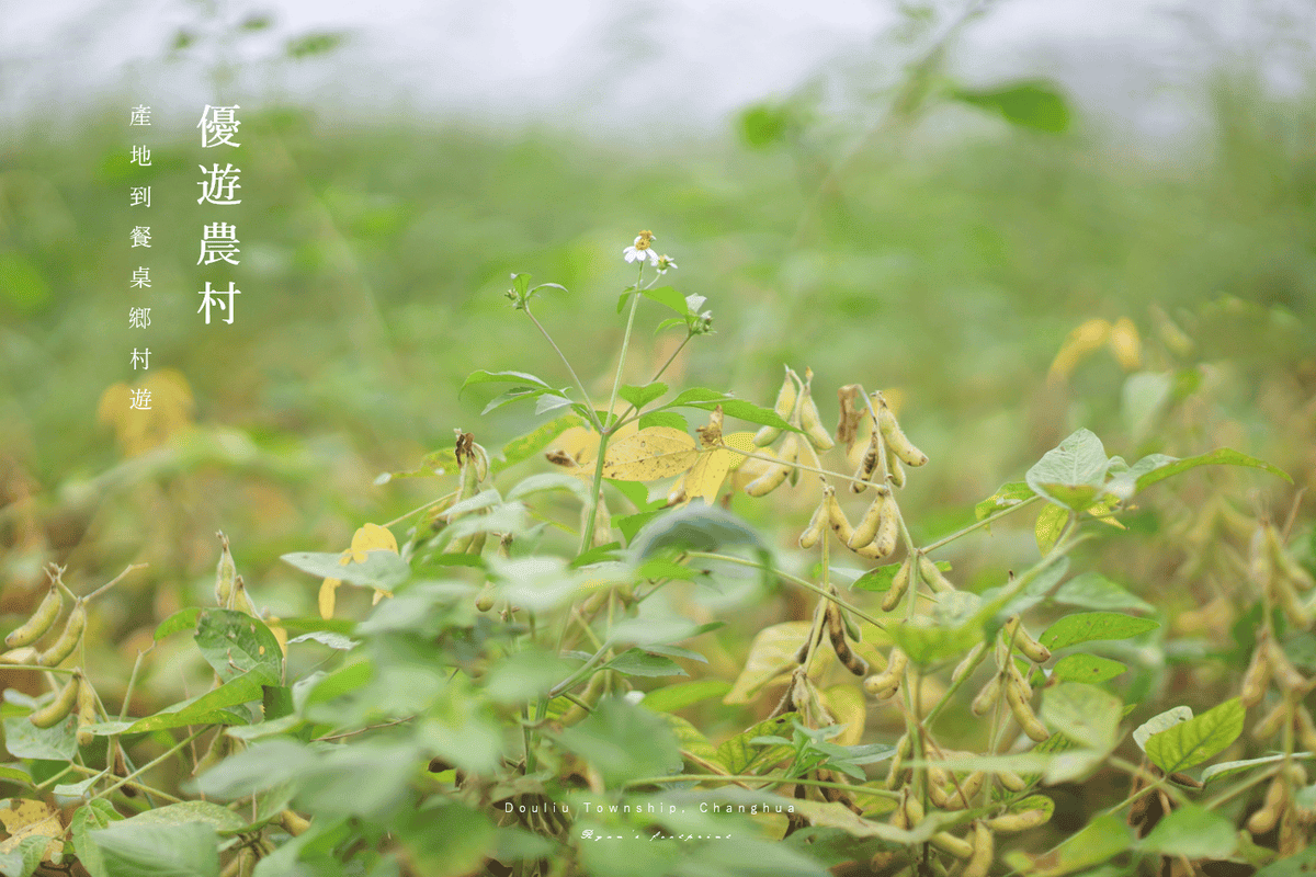 彰化旅遊 景點推薦 田野勤學 食農教育.png 彰化旅遊 景點推薦 田野勤學 食農教育.png