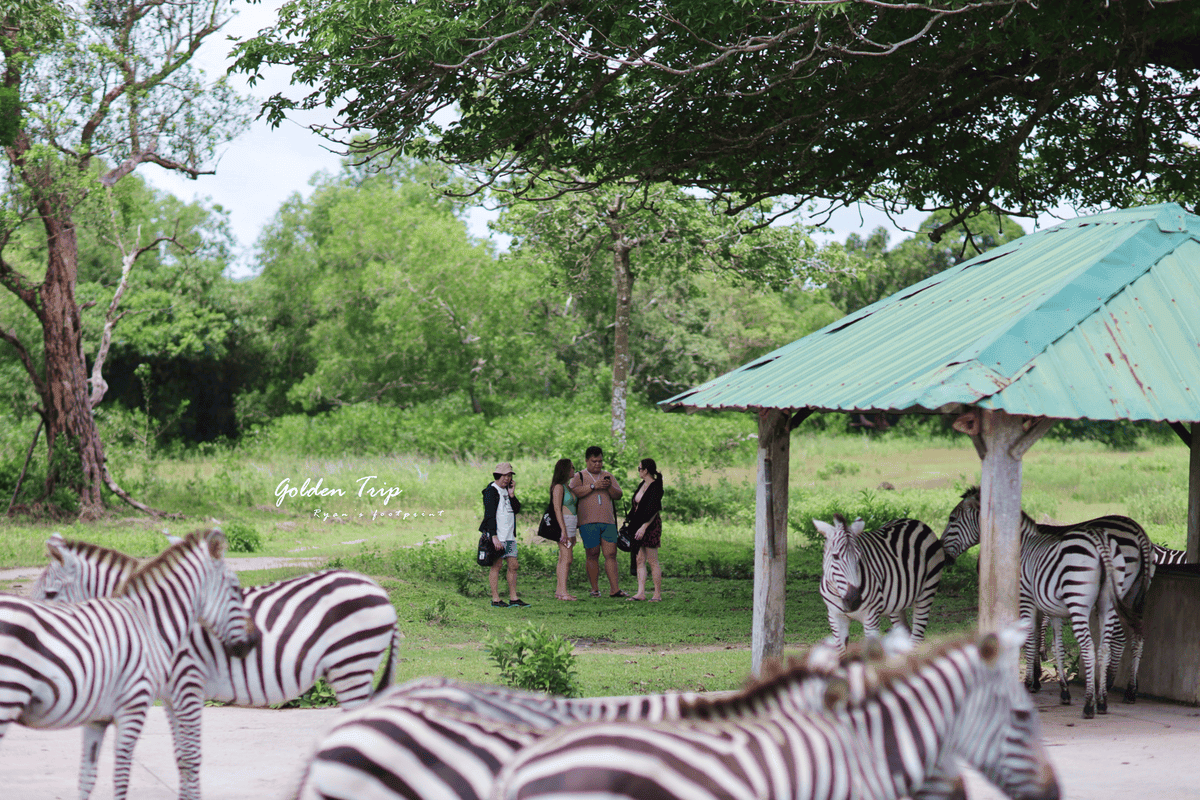 科隆景點 Calauit Safari Park.png 科隆景點 Calauit Safari Park.png