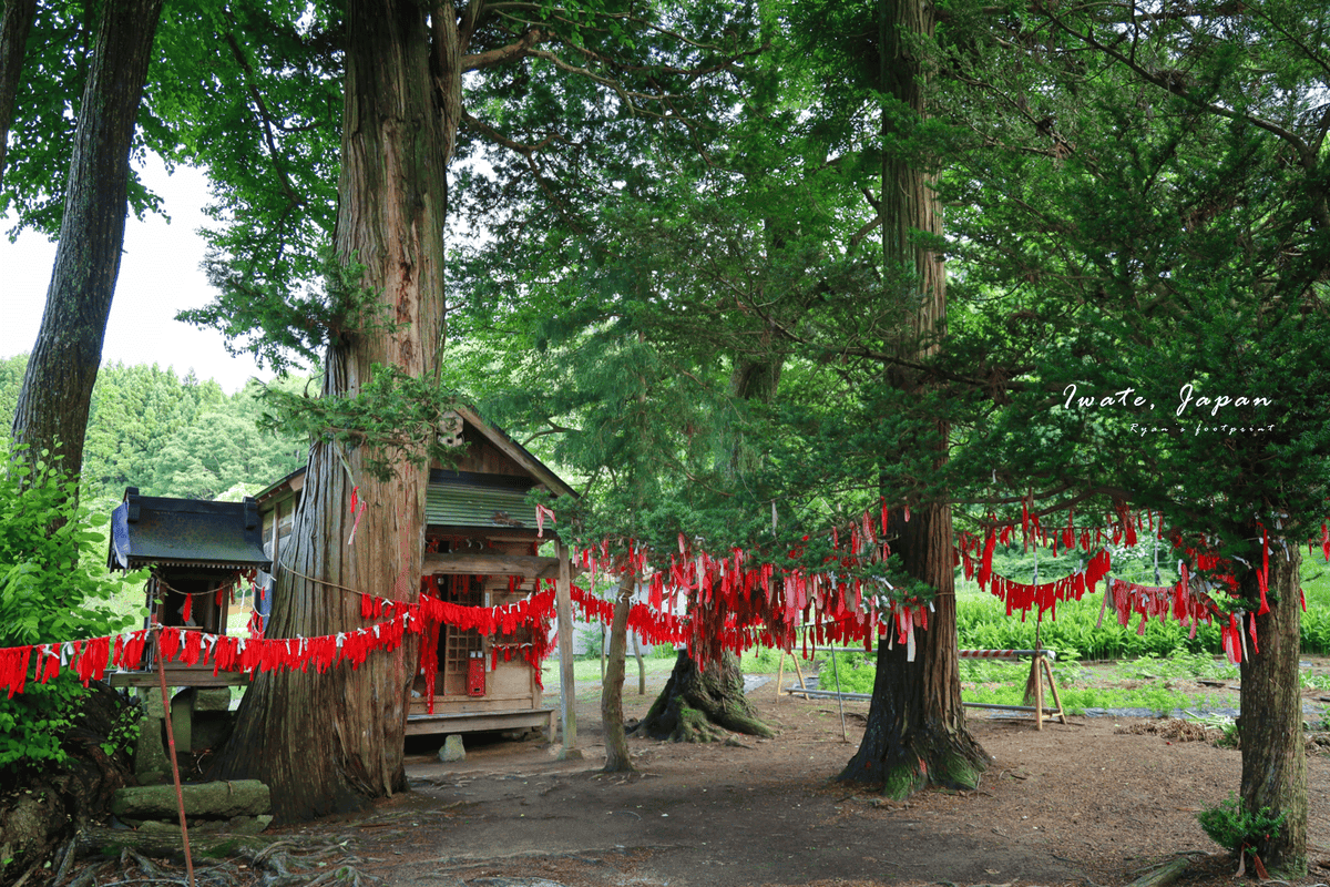 岩手遠野市景點 卯子酉神社.png