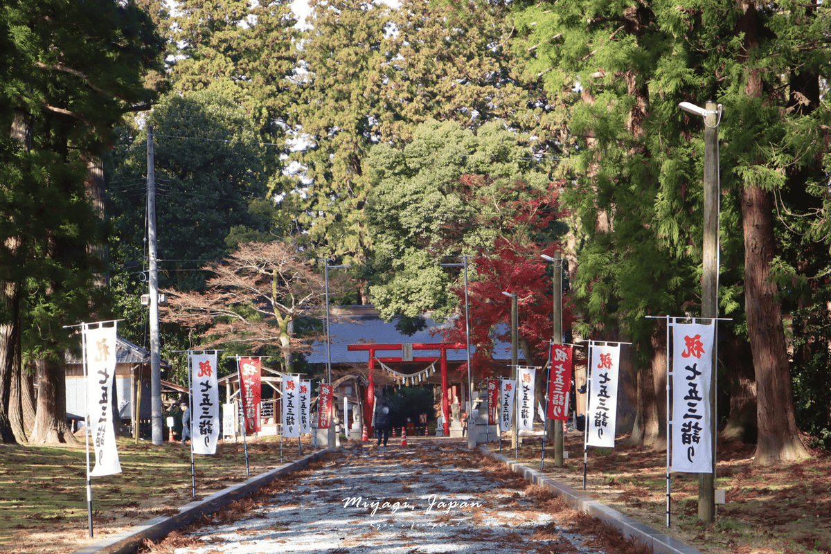仙台賞楓推薦 賀茂神社.png 仙台賞楓推薦 賀茂神社.png