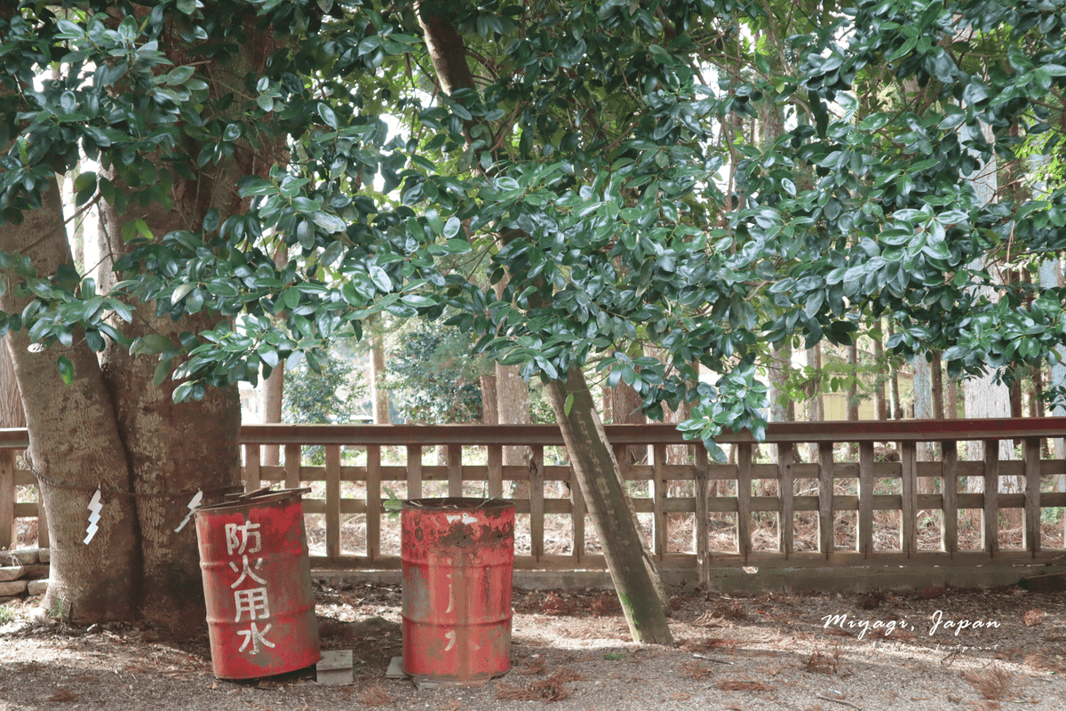 仙台市區景點.png 仙台市區景點.png