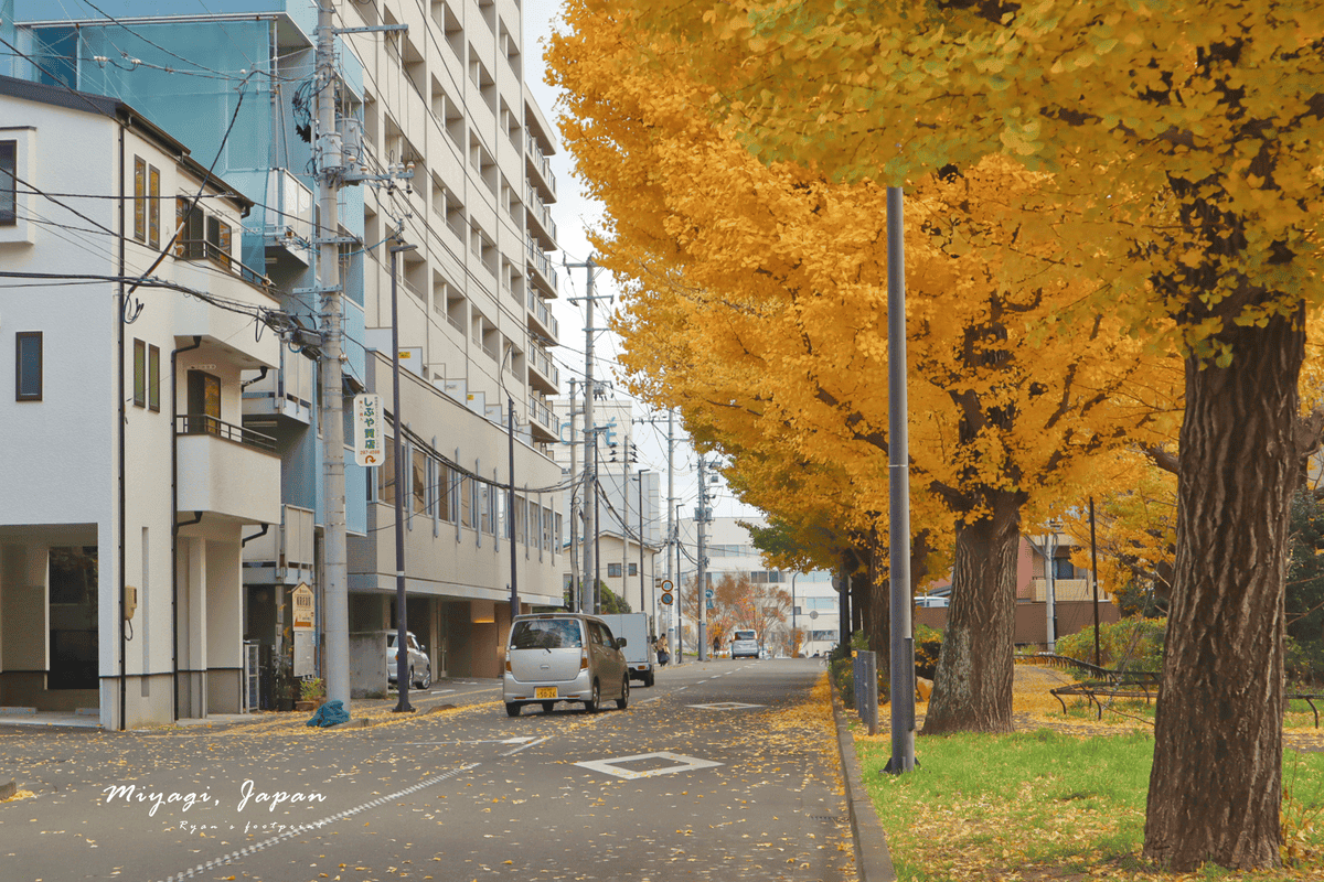 宮城野區 銀杏.png 宮城野區 銀杏.png
