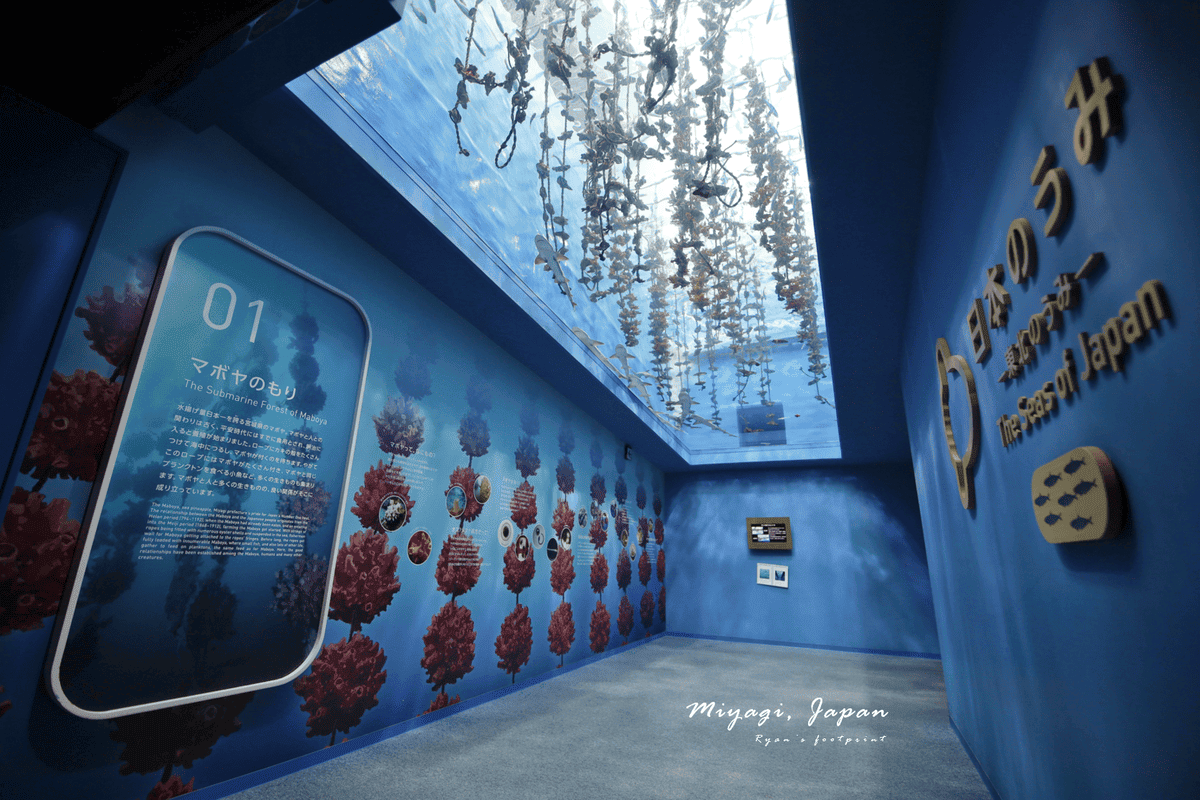 仙台市景點 仙台海洋森林水族館.png 仙台市景點 仙台海洋森林水族館.png