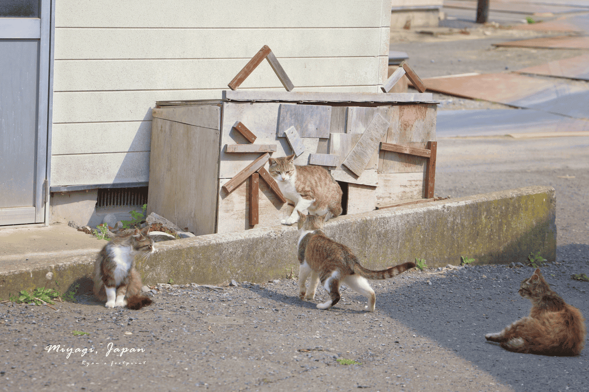 田代島.png 田代島.png