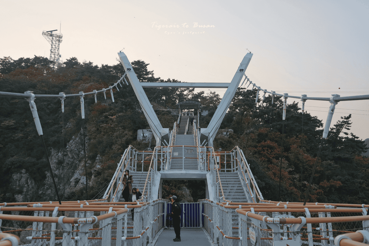松島龍宮雲橋 入場時間.png 松島龍宮雲橋 入場時間.png