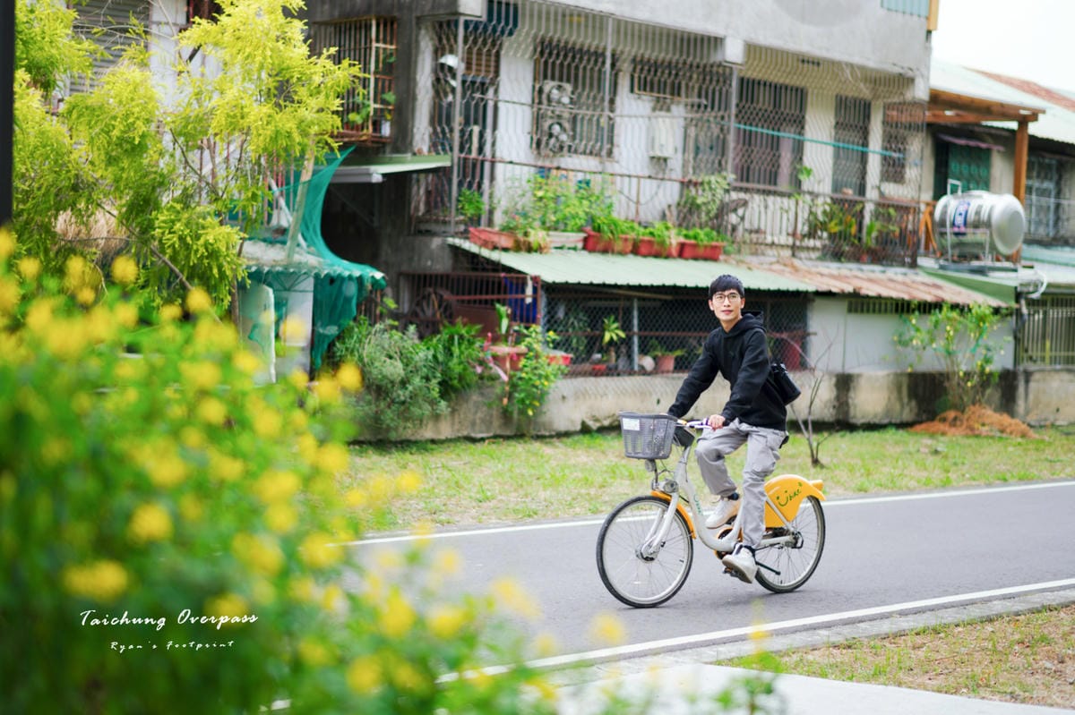 綠空廊道-三光北一街.jpg 綠空廊道-三光北一街.jpg