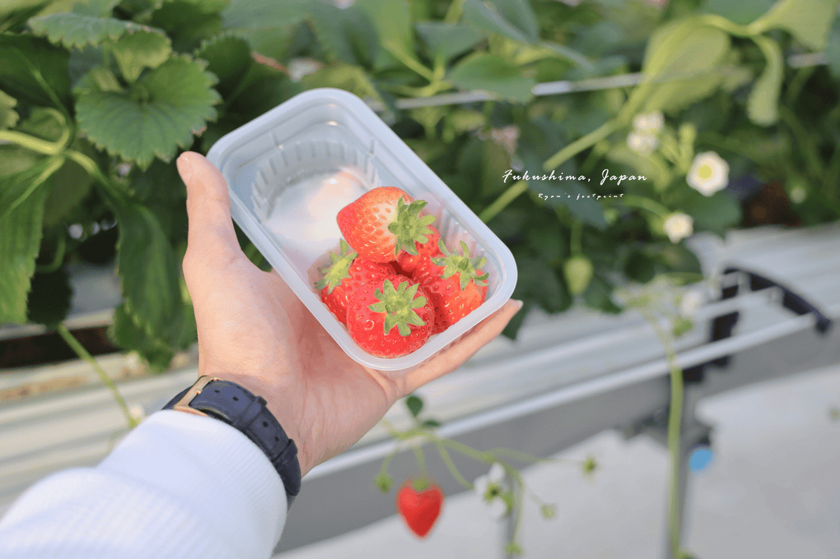 福島草莓吃到飽.png 福島草莓吃到飽.png