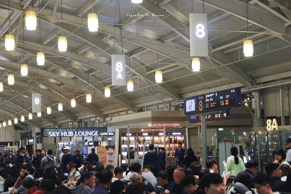 台灣虎航 金海國際機場.png 台灣虎航 金海國際機場.png