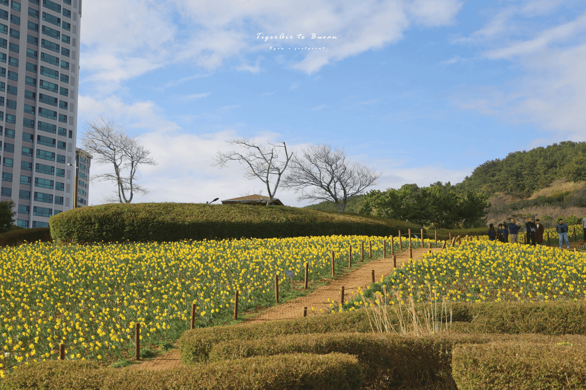 五六島 旅遊.png 五六島 旅遊.png