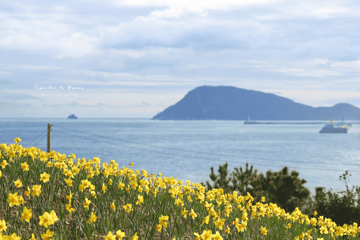 五六島 花季.png 五六島 花季.png