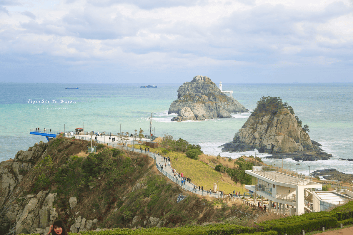 五六島水仙花花季.png 五六島水仙花花季.png