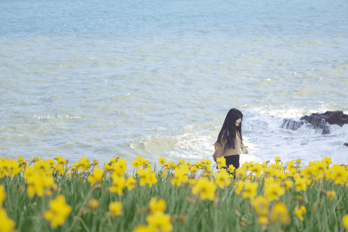 五六島日出公園 交通.png 五六島日出公園 交通.png