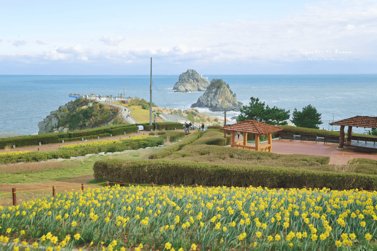 五六島 交通.png 五六島 交通.png