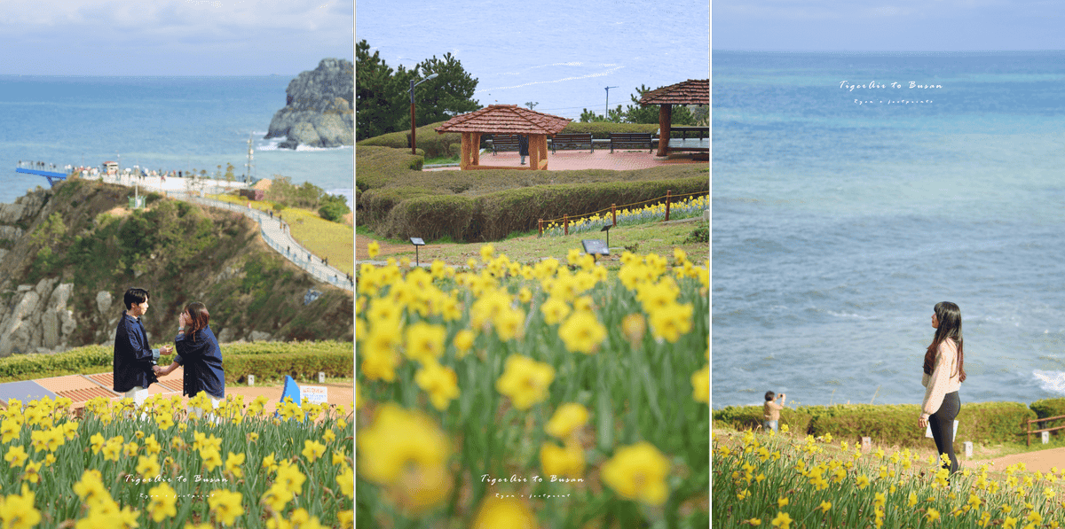 五六島 二妓台.png 五六島 二妓台.png