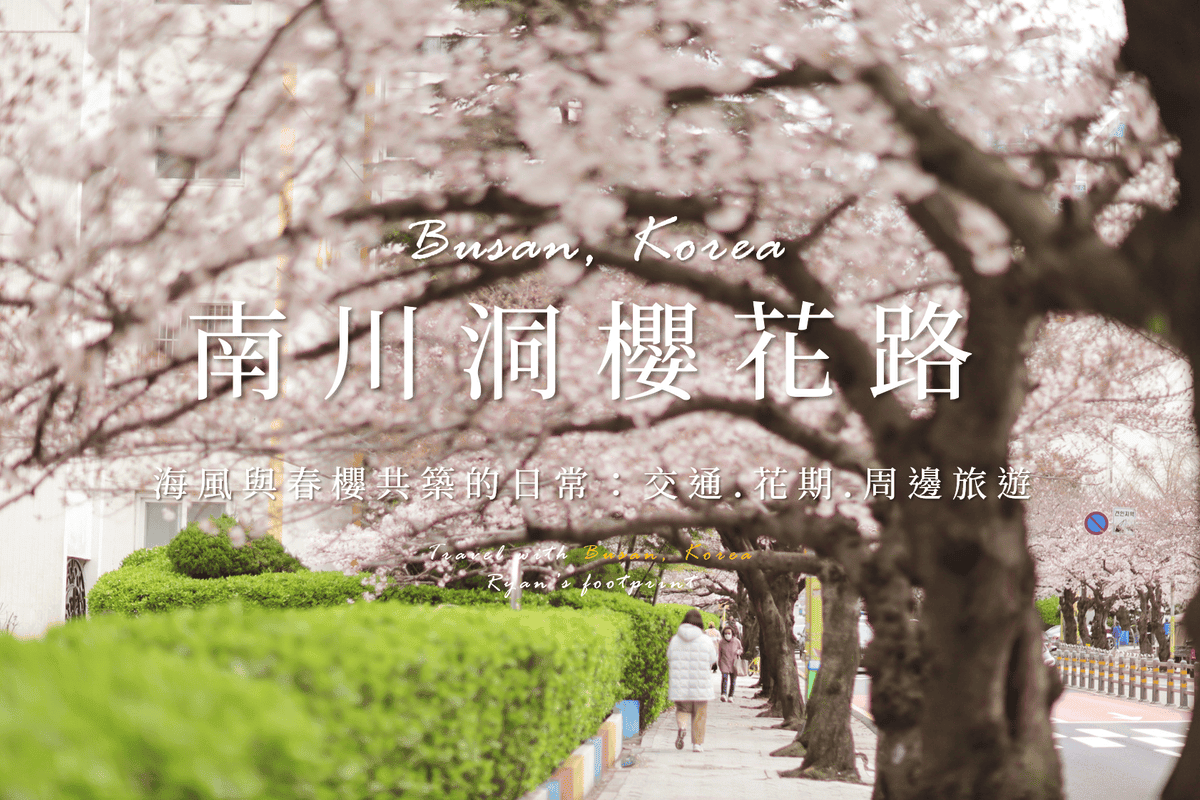 南川洞櫻花路.png 南川洞櫻花路.png