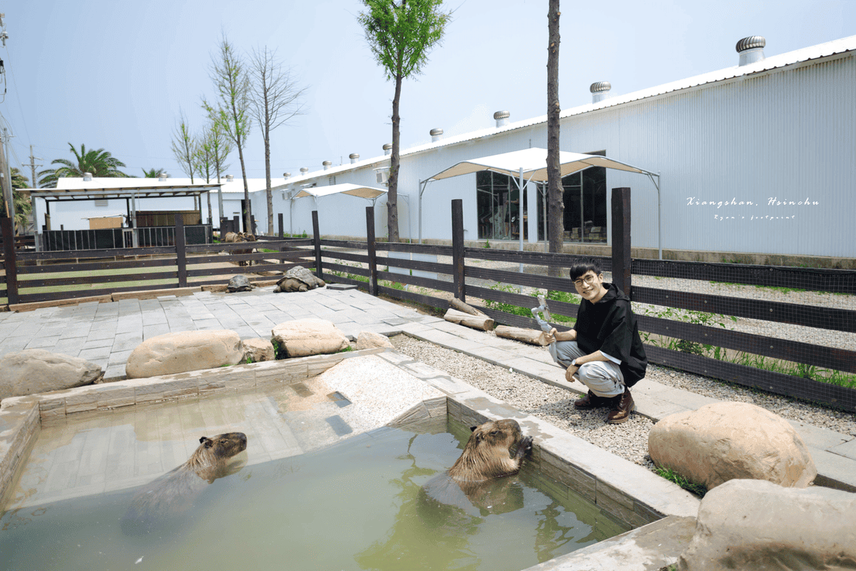 廢物媽媽育兒農場 環境.png
