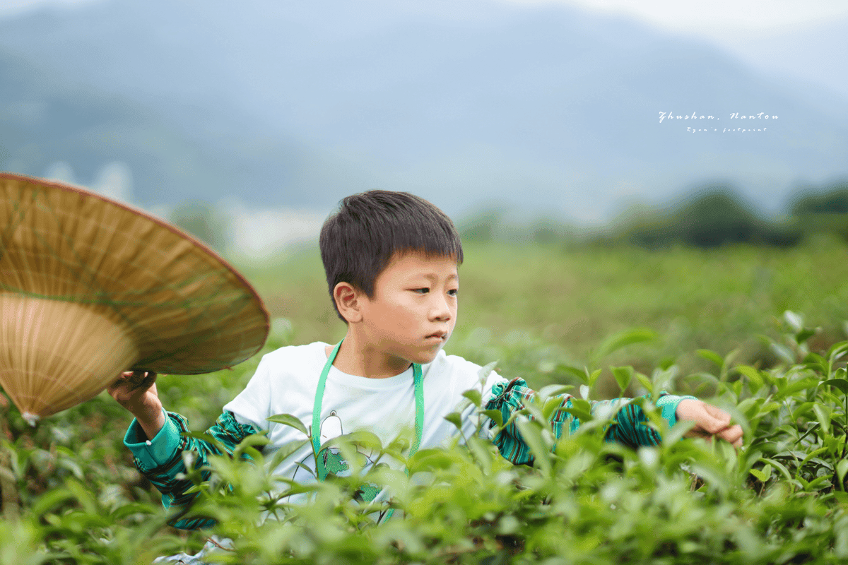 茶韻風情小旅行.png 茶韻風情小旅行.png