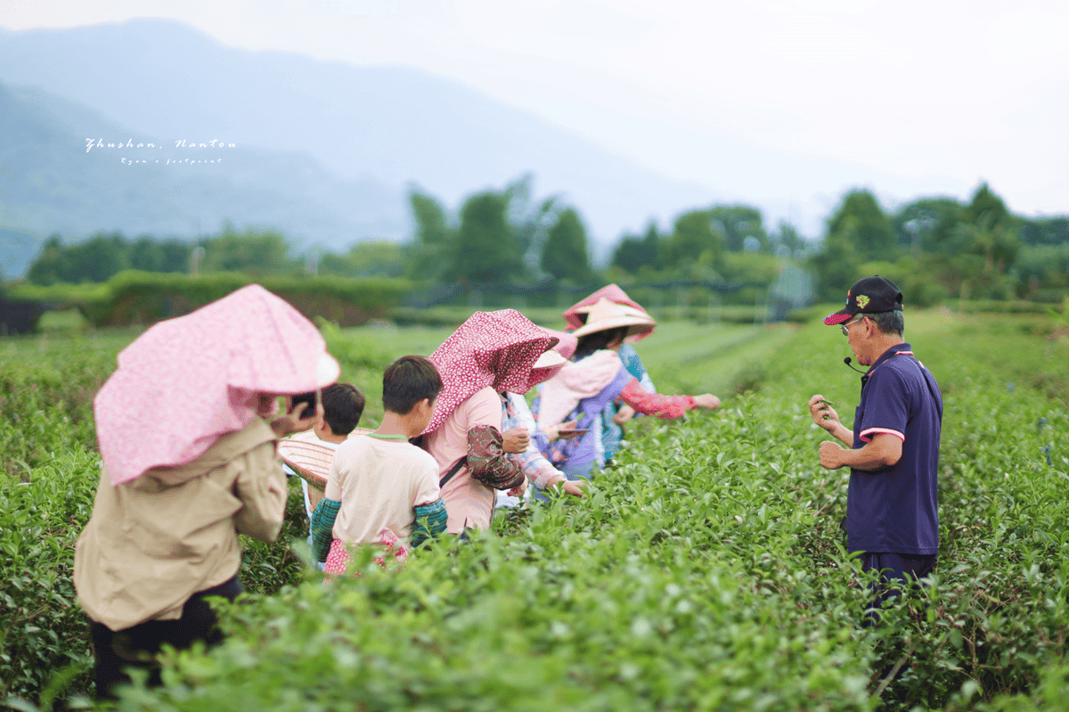 2024竹山國際茶道節 行程.png 2024竹山國際茶道節 行程.png