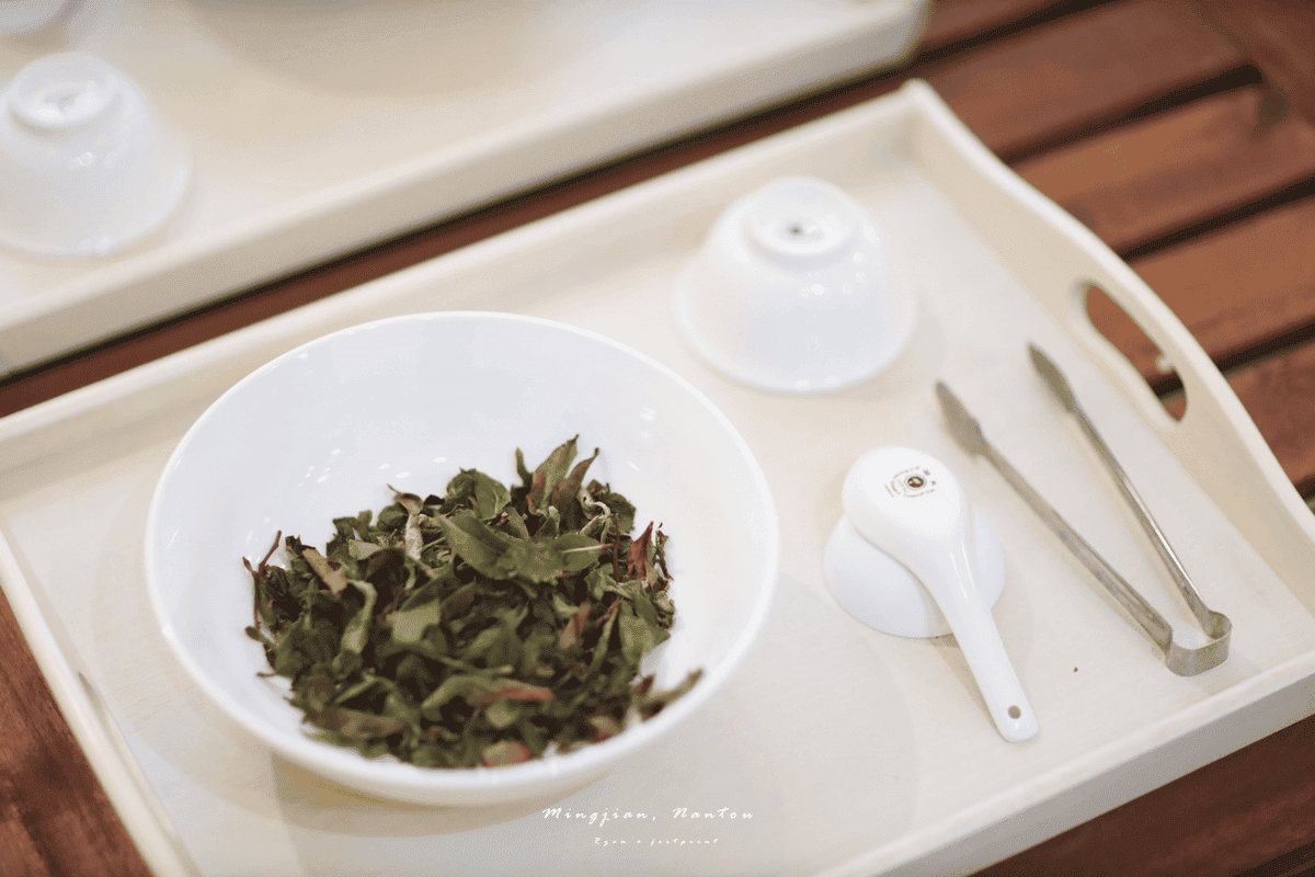 南投 茶薰六感.png
