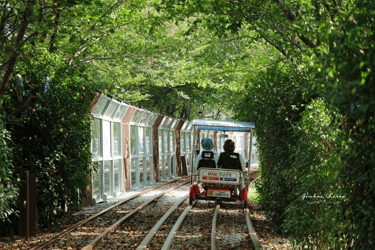 金海鐵道自行車 介紹.png