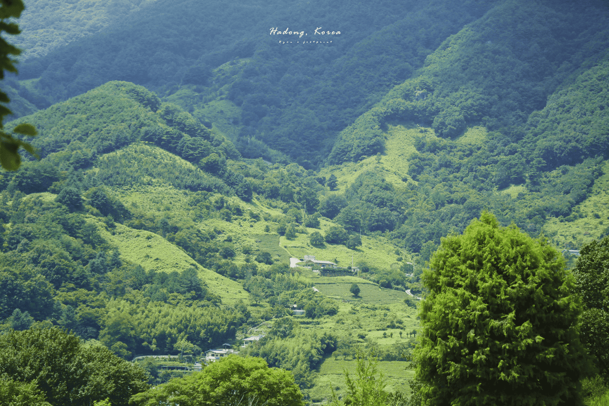 韓國河東.png 韓國河東.png