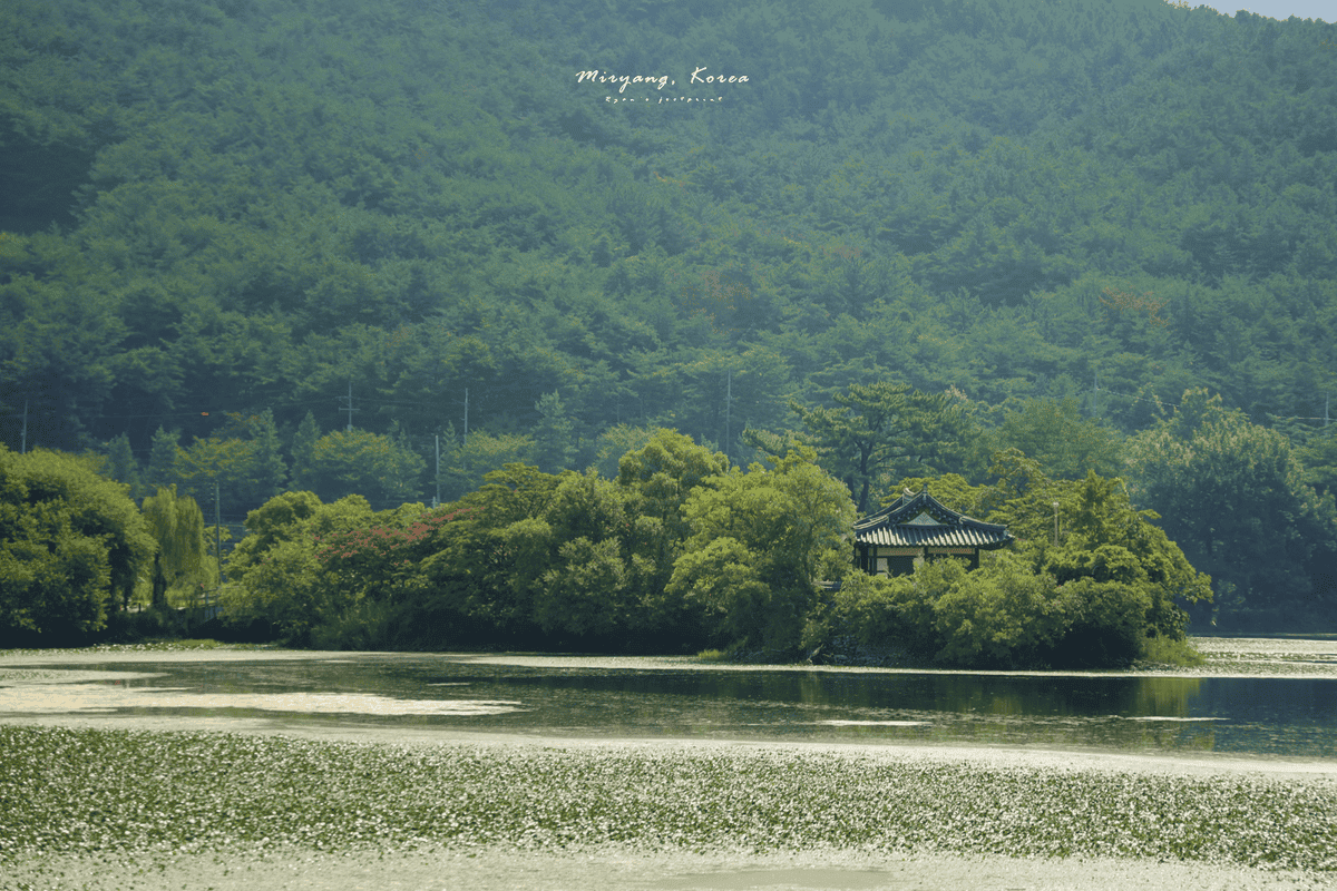 密陽景點 位良池.png 密陽景點 位良池.png