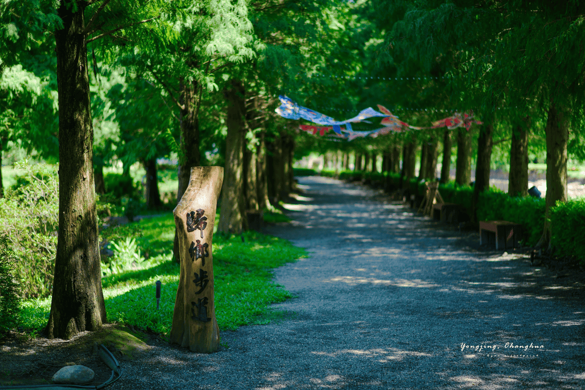 成美文化園 歸鄉步道 (北國風情落羽松秘境).png