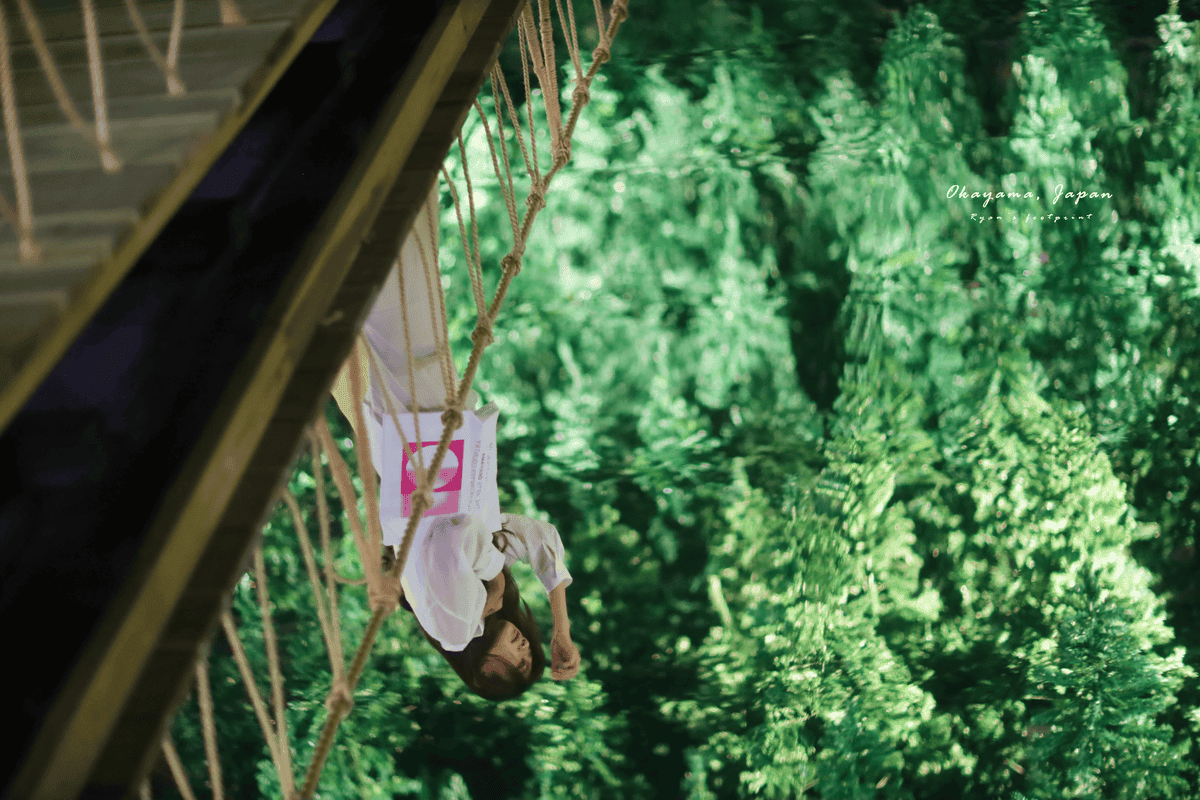 岡山森之藝術祭  Leandro Erlich《The Nature Above》.png