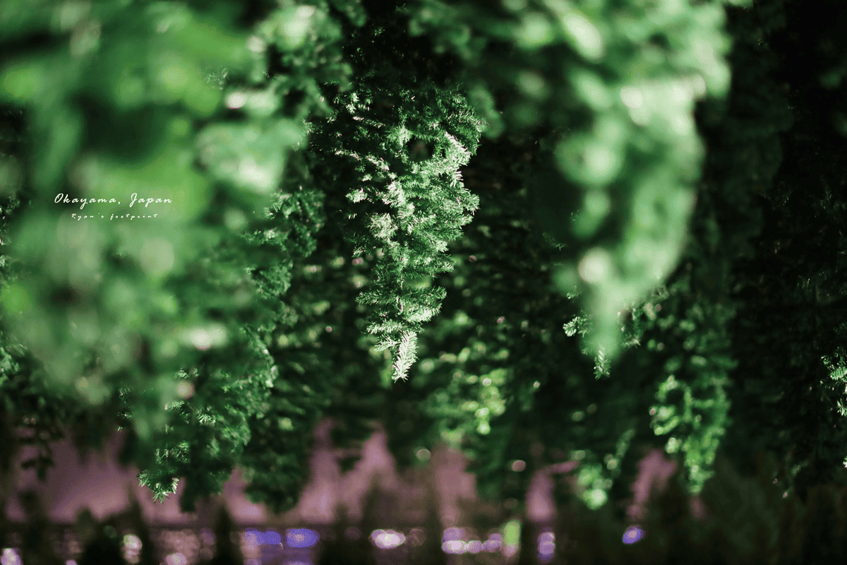 岡山森之藝術祭 《The Nature Above》.png