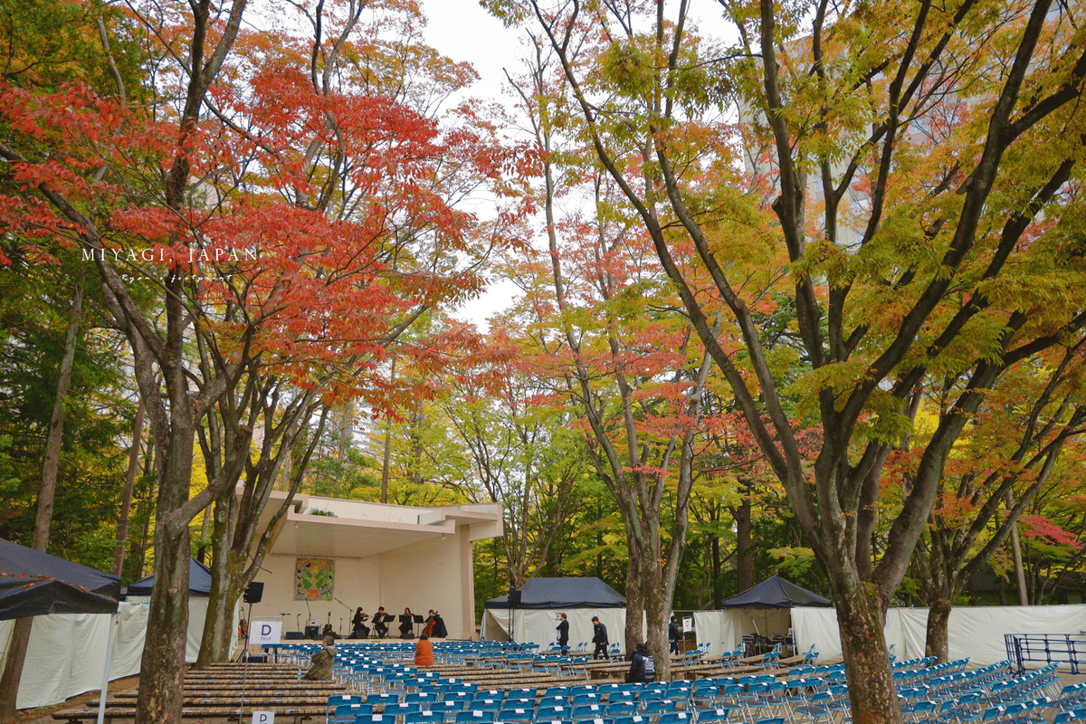 仙台銀杏 勾當台公園.png