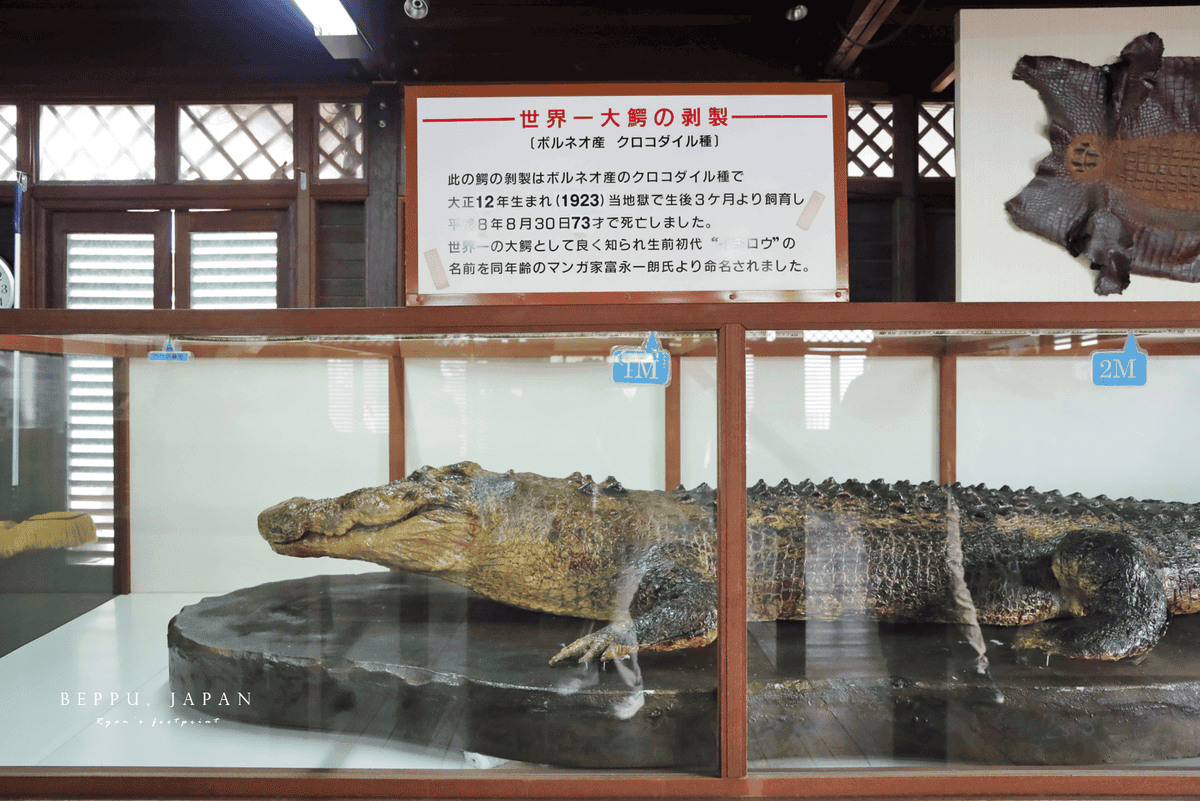 鬼山地獄 鱷魚.png 鬼山地獄 鱷魚.png