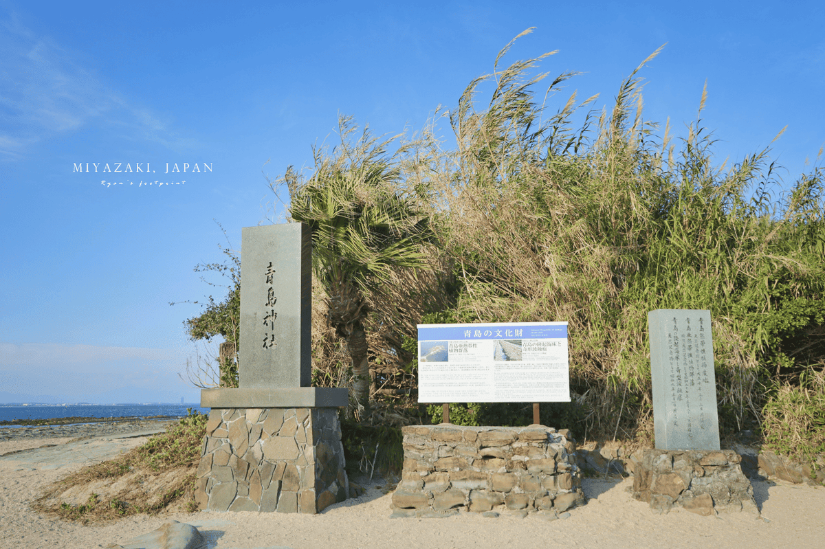 青島 亞熱帶植物群落.png