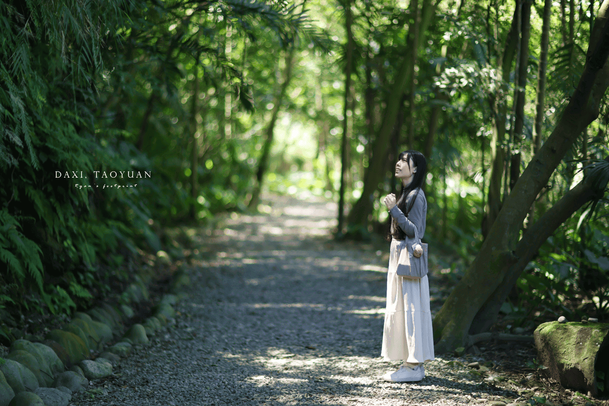 大嵙崁地質公園.png