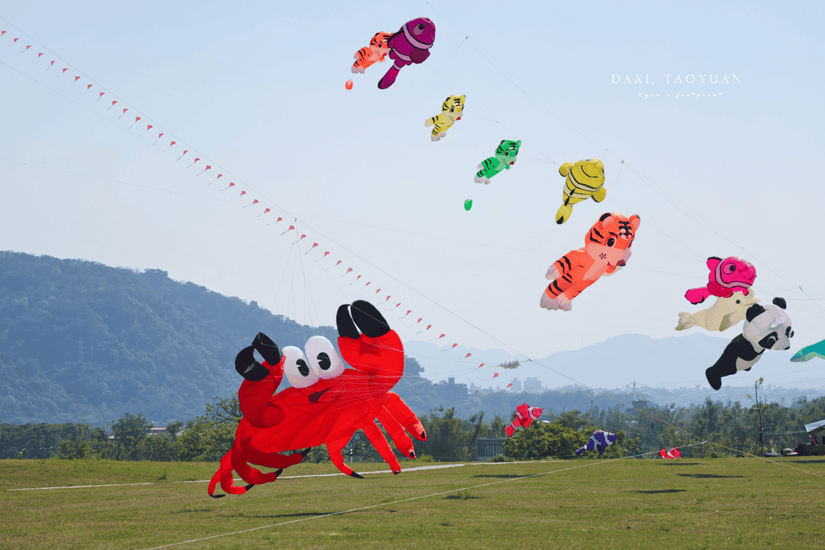 大嵙崁親水園區 風箏節.png
