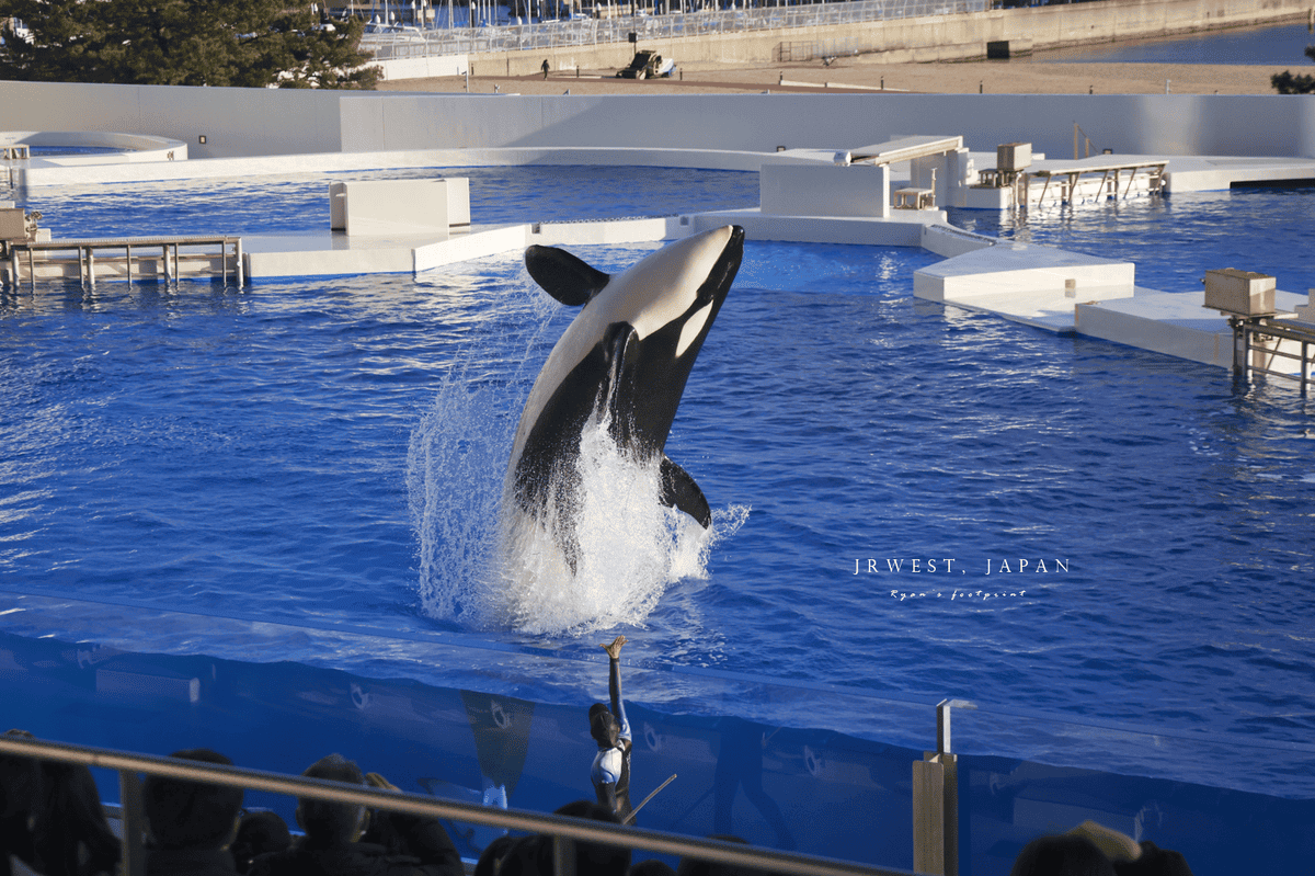 ORCA STADIUM 虎鯨場館.png ORCA STADIUM 虎鯨場館.png