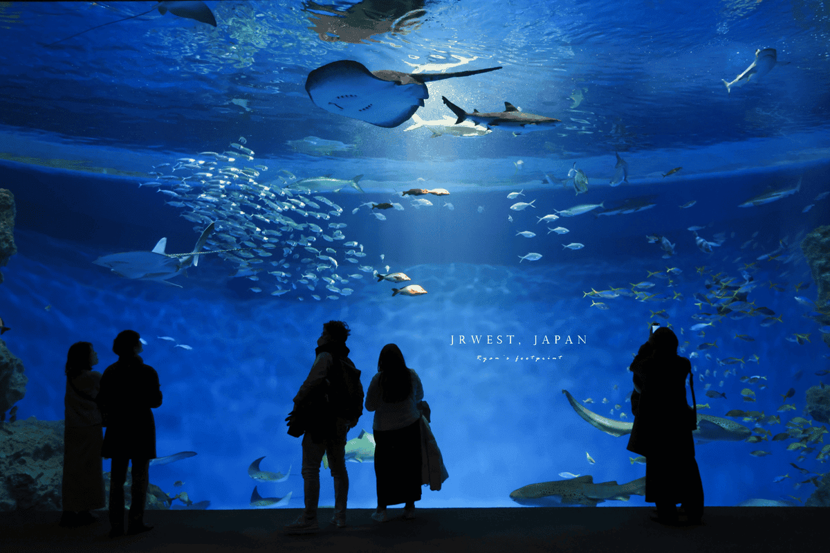神戶 Aqua Live 海生館.png 神戶 Aqua Live 海生館.png