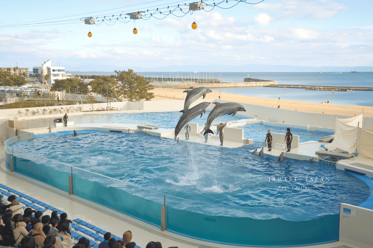 DOLPHIN STADIUM 海豚場館.png DOLPHIN STADIUM 海豚場館.png