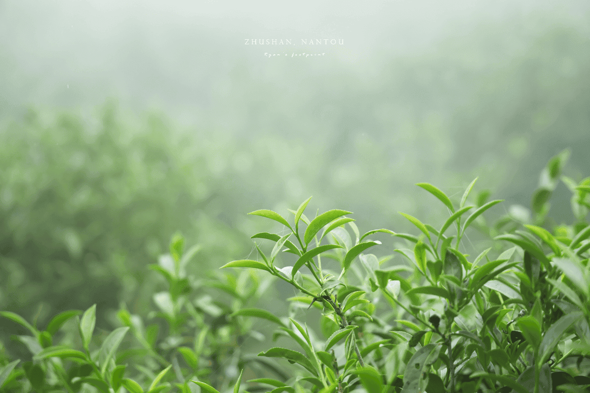 竹山景點推薦.png 竹山景點推薦.png