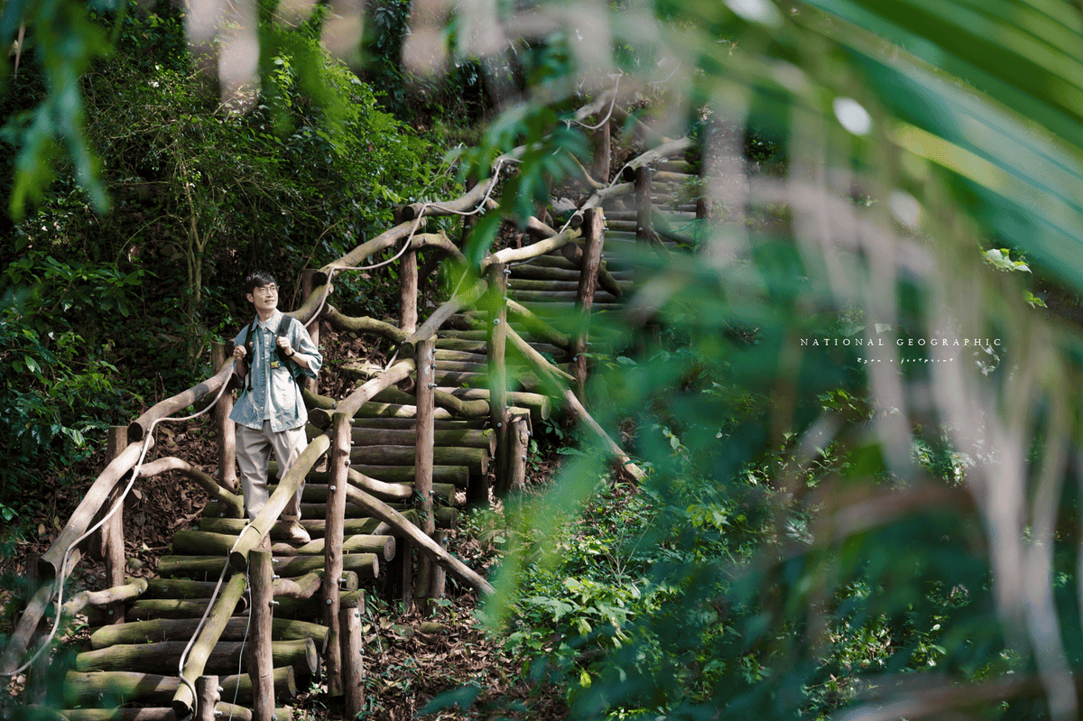 National Geographic 品牌.png