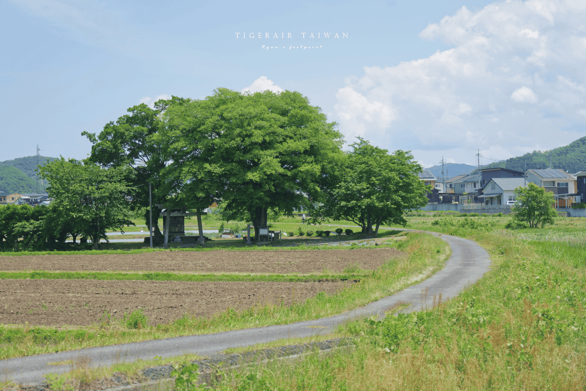鳥取 福本白兎神社.png