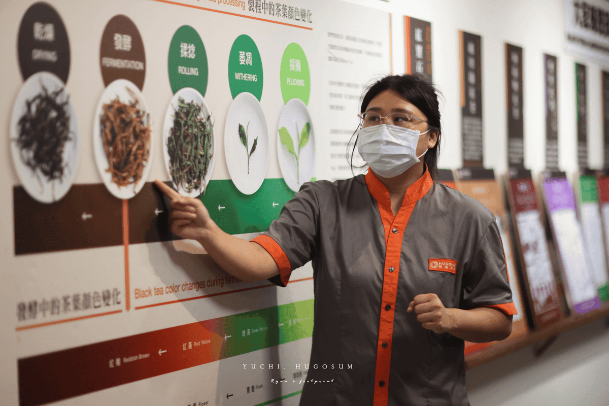 南投 製茶體驗.png 南投 製茶體驗.png
