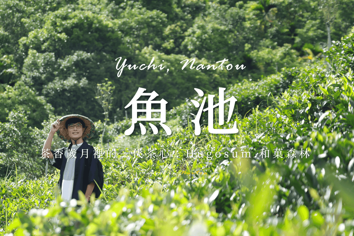 和菓森林.png 和菓森林.png